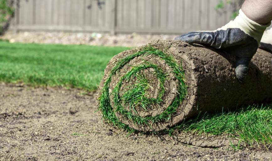 Sod Installation